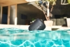 Тонколони Sony SRS-XB12 Portable Wireless Speaker with Bluetooth, black