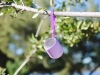 Тонколони Sony SRS-XB12 Portable Wireless Speaker with Bluetooth, violet