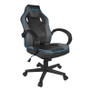 Стол Fury Gaming chair, Avenger S, Black-Grey