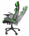 Стол Genesis Gaming Chair Nitro 880 Black-Green